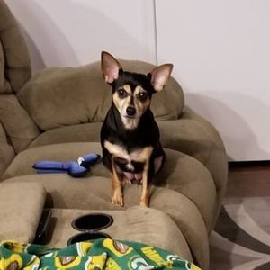 Meet your Posher, Joseph